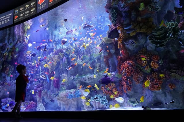 Aquarium
