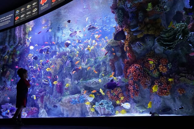 Vibrant New England Aquarium with colorful marine life, ideal for events and gatherings.