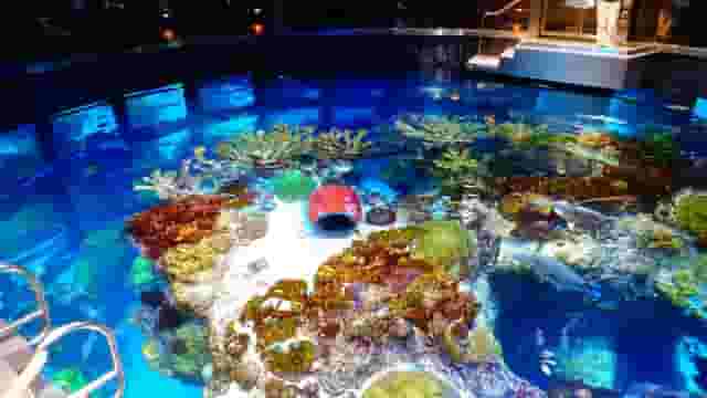 Aquarium
