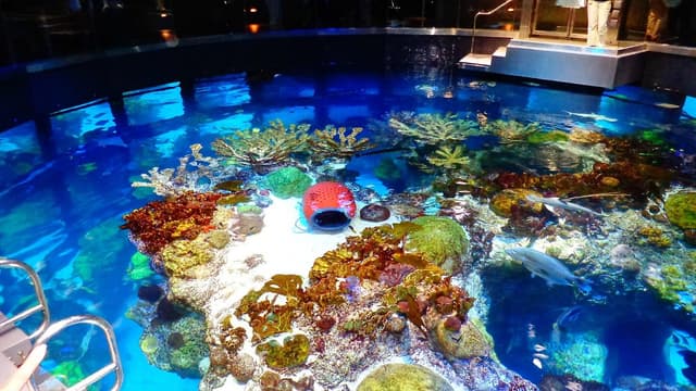 Aquarium