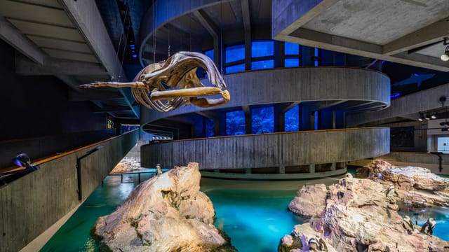 New England Aquarium Tours - Book Now ...