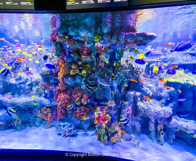 Aquarium
