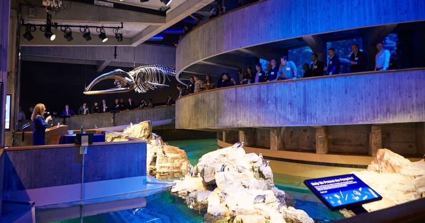 Main Exhibit Gallery | New England ...