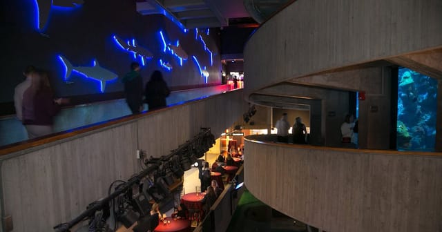 Main Exhibit Gallery | New England ...