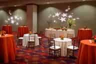 Reception Venues
