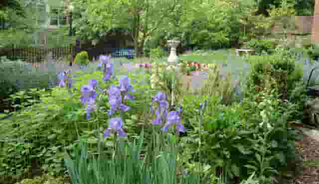 North Garden