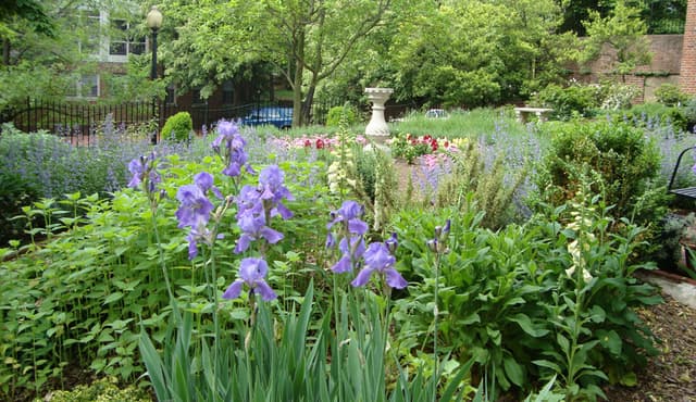North Garden