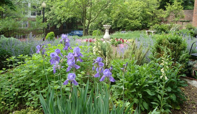 Grounds at Dumbarton – Dumbarton House