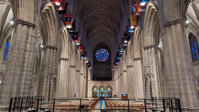 Cathedral Nave