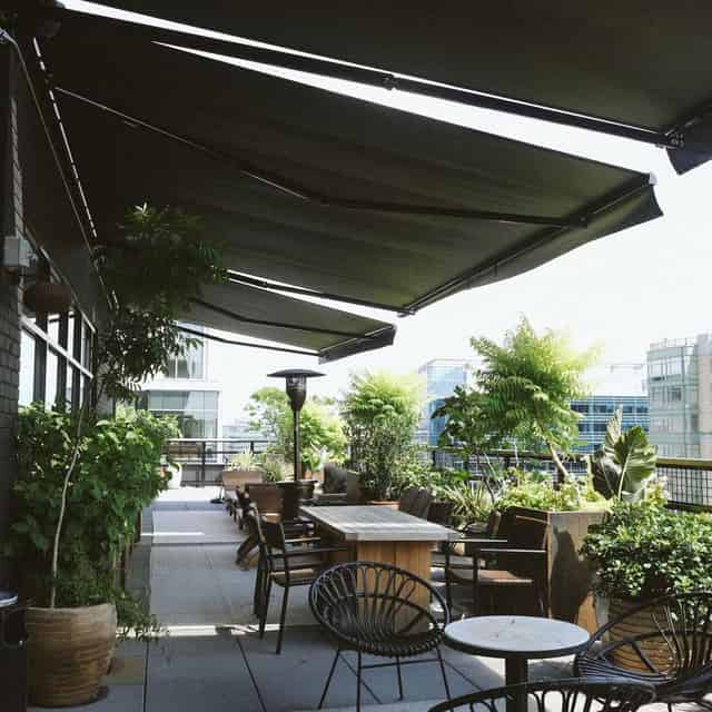 Wild Days Rooftop