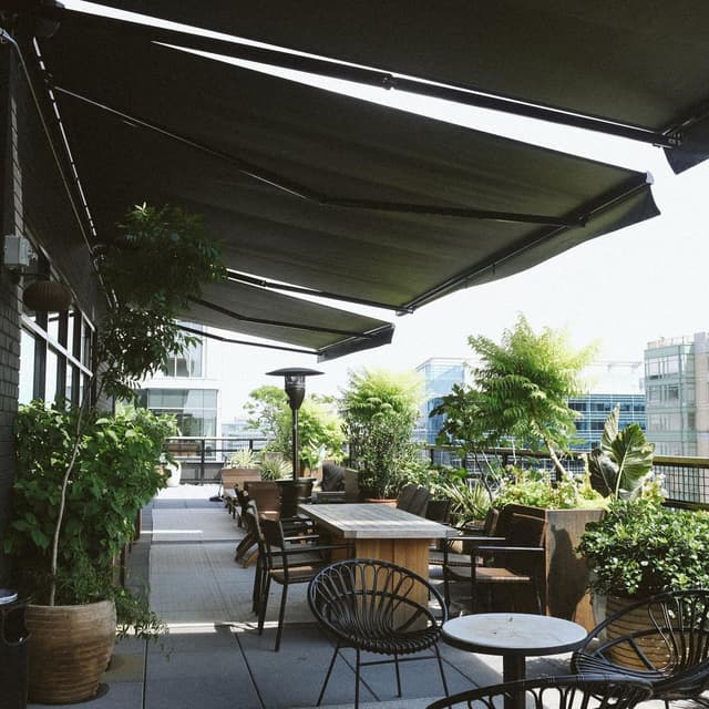 Wild Days Rooftop