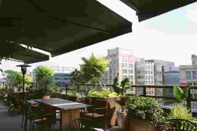 Wild Days Rooftop