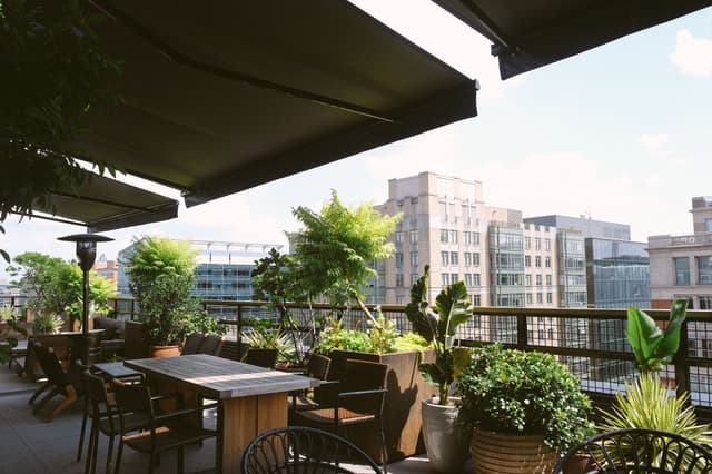 Wild Days Rooftop