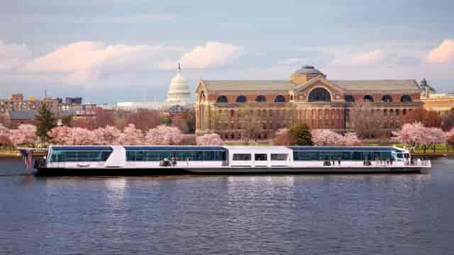 Cherry blossoms at City Cruises DC, ideal venue for events with Capitol backdrop.