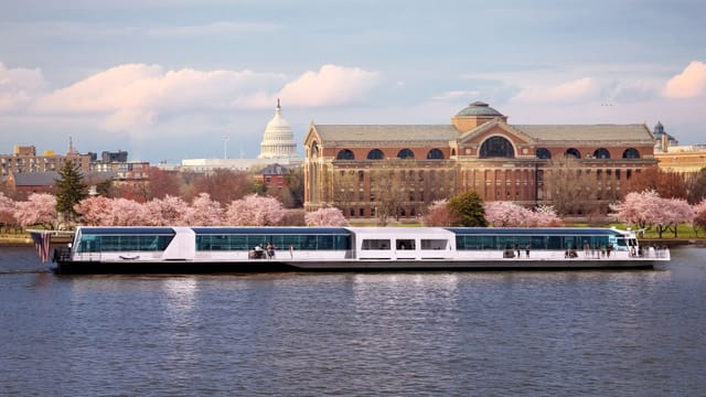 Cherry blossoms at City Cruises DC, ideal venue for events with Capitol backdrop.