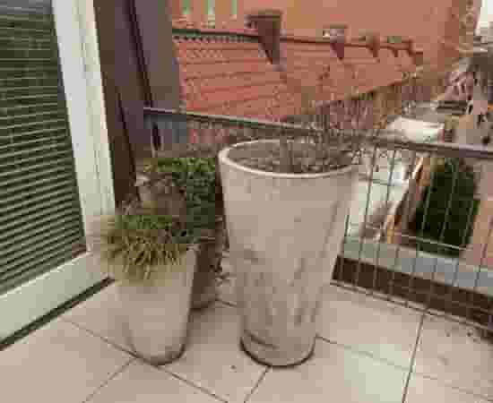 Lorien Terrace