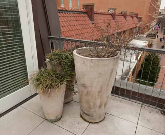Lorien Terrace