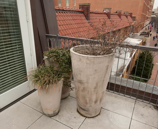 Lorien Terrace