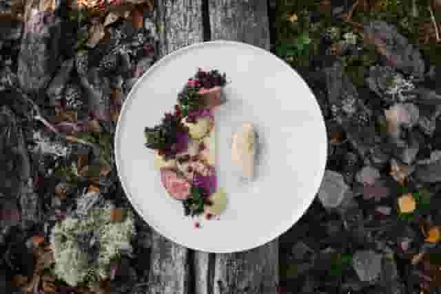 Restaurant Skog