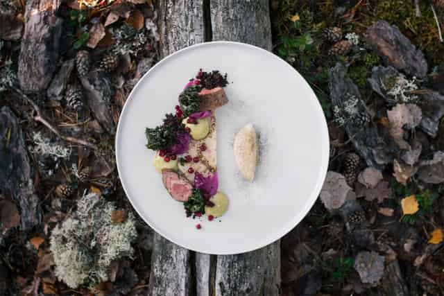Restaurant Skog