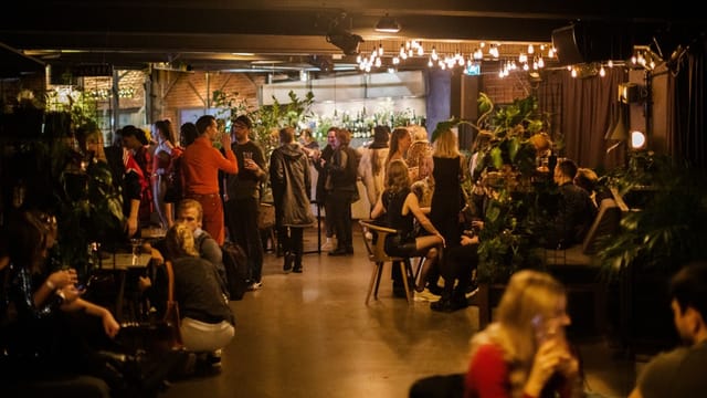 Vibrant networking event in Dansens Hus foyer with lush greenery and ambient lighting.