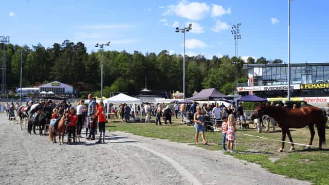 Vibrant outdoor event at Ströget, Solvalla with horses and engaging stalls.