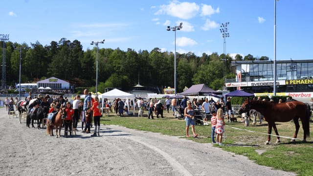 Vibrant outdoor event at Ströget, Solvalla with horses and engaging stalls.