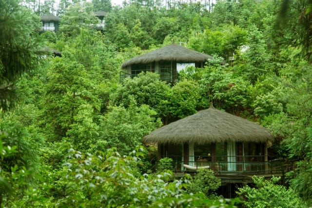 Eco-friendly venue at Naked Retreats, ideal for wellness retreats and team-building events.