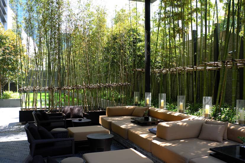 Serene outdoor lounge at The PuLi Hotel, perfect for networking events and casual meetings.