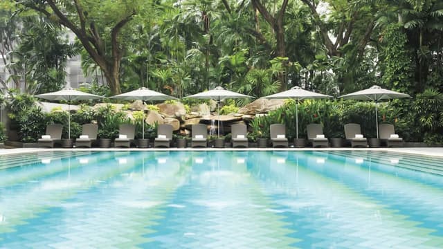 The Ritz-Carlton +1 more