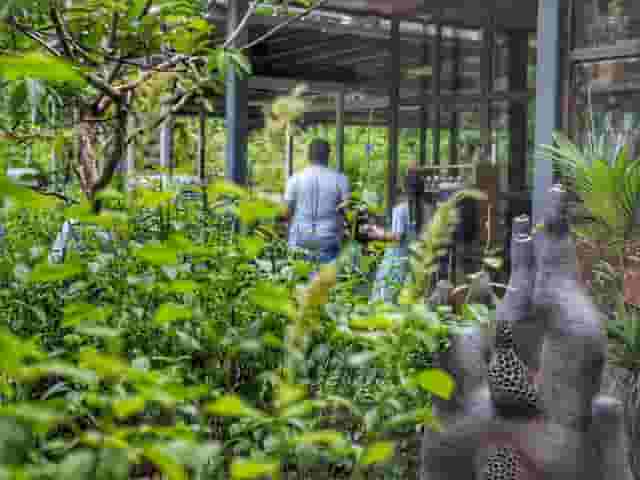 Outdoor Garden