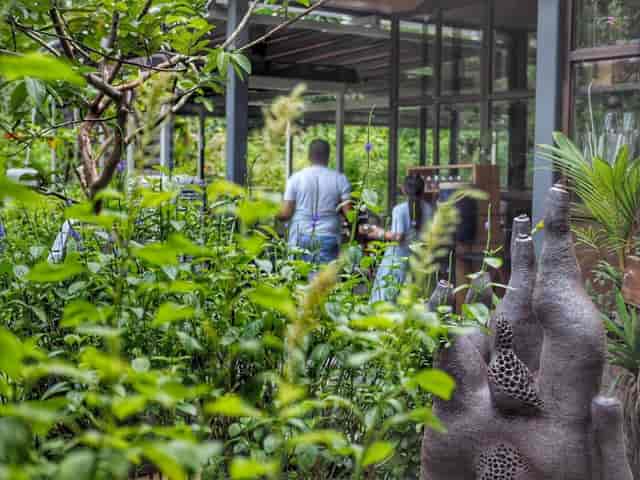 Serene outdoor garden venue with lush greenery for team-building events and retreats.