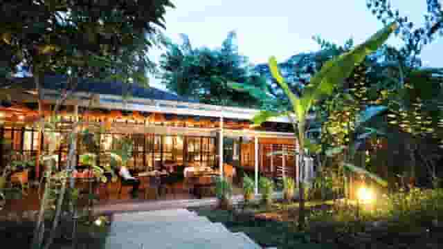 Outdoor Garden