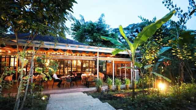 Outdoor Garden