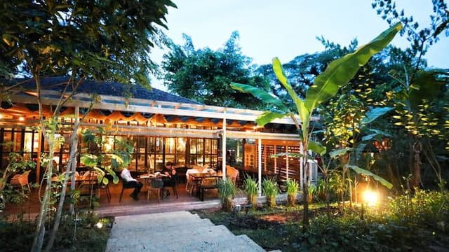 Outdoor Garden