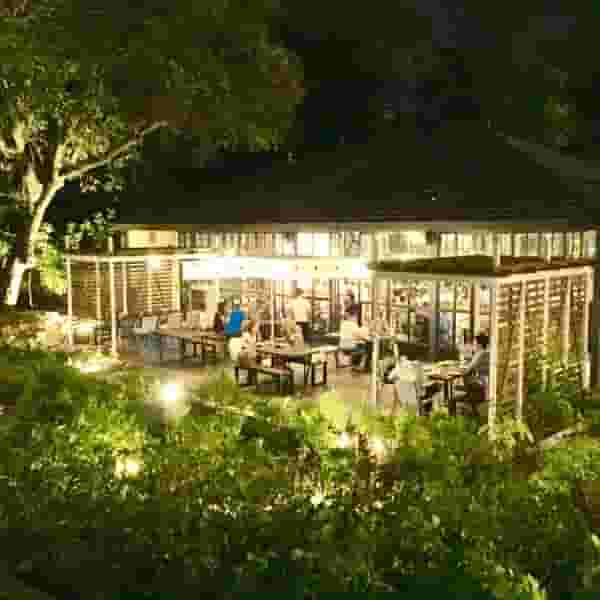 Outdoor Garden