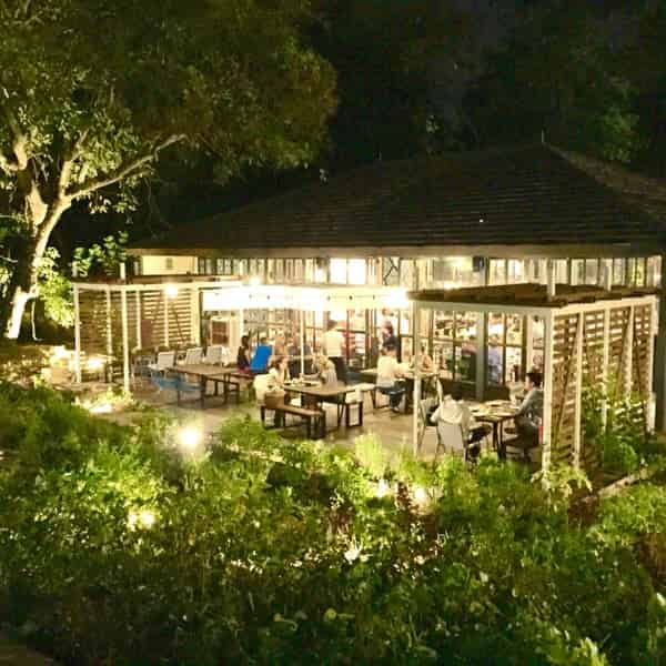 Outdoor Garden