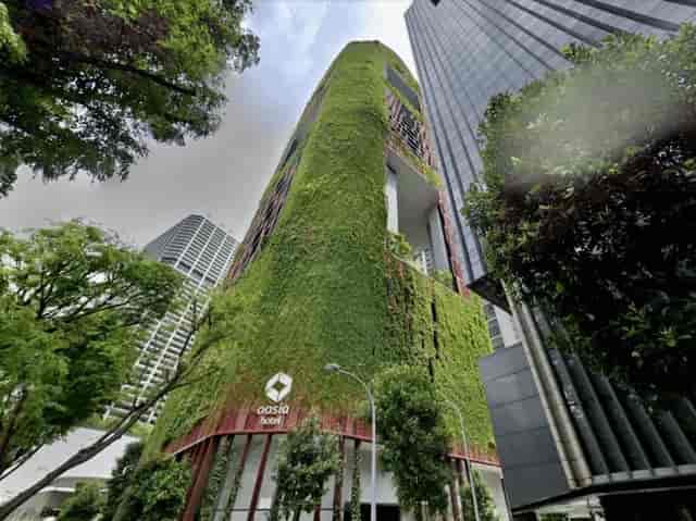 Modern eco-friendly Cypress building at Oasia Hotels, ideal for sustainable events.