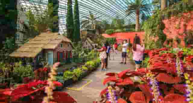 Flower Field Hall