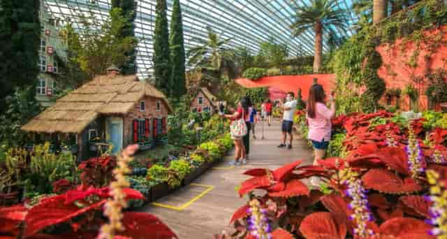 Flower Field Hall: vibrant indoor garden for events, lush greenery and colorful flowers.