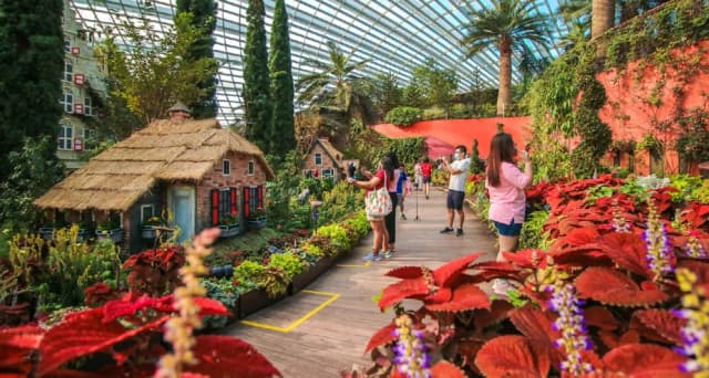 Flower Field Hall