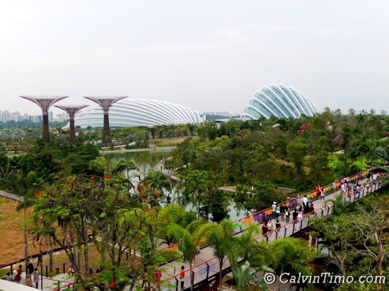 The Meadow at Gardens by the Bay, ideal outdoor venue for events with Supertree Grove.