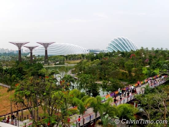 The Meadow at Gardens by the Bay, ideal outdoor venue for events with Supertree Grove.