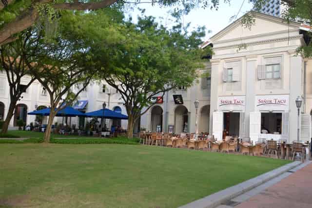 The Lawn