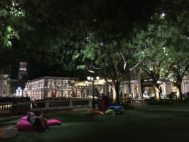 The Lawn