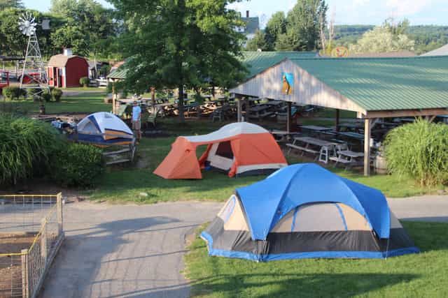 Group outings at Davis Farmland with colorful tents and picnic tables for team-building events.