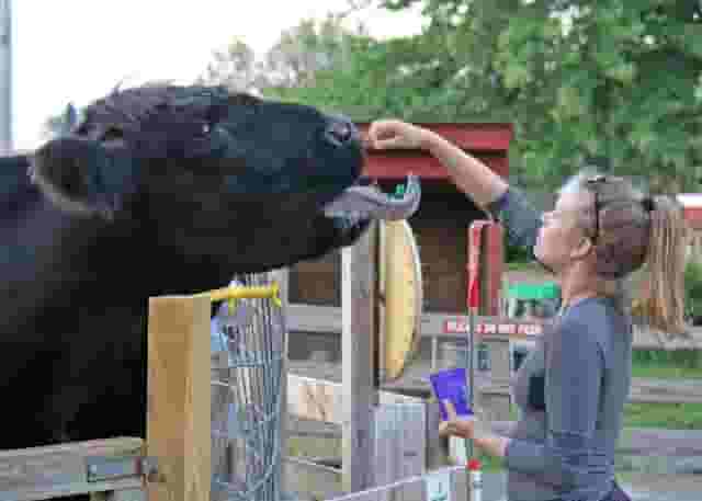 Animal Showcase