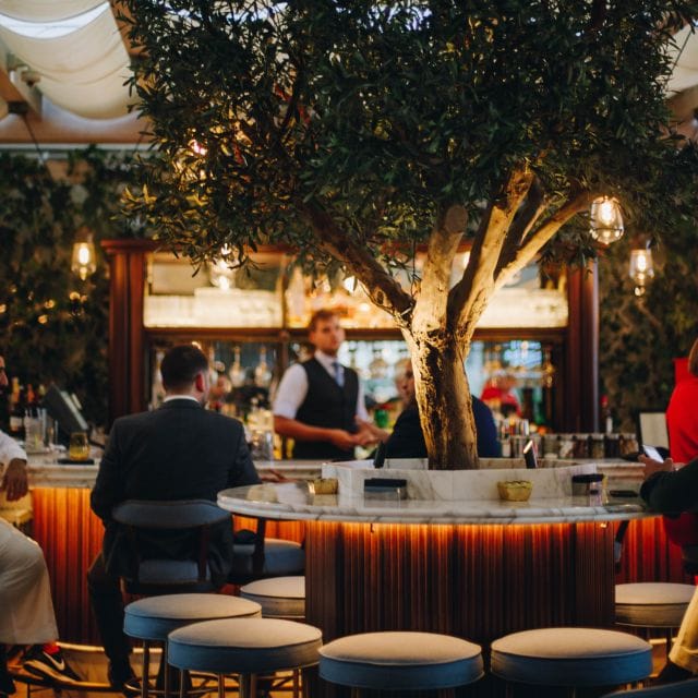 Stylish bar with olive tree at Four Seasons Dubai, perfect for cocktail receptions.
