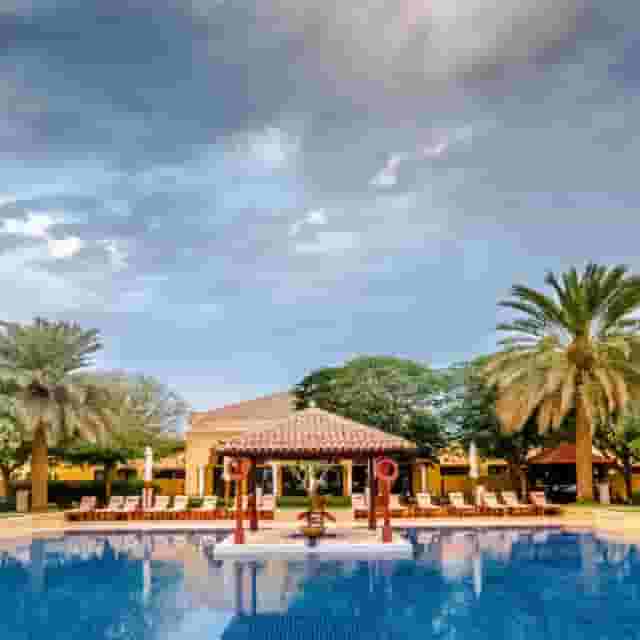 Pool Lawn