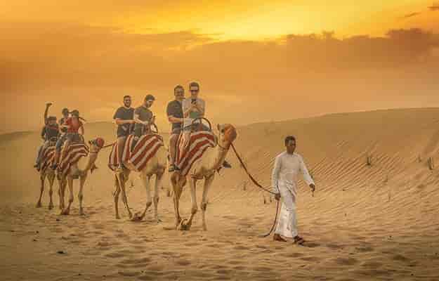 Camel team-building experience at OceanAir Travel, Al Khayma, with sunset backdrop.